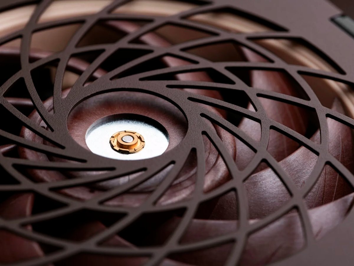 noctua