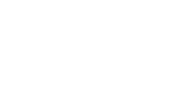 Shark.Aero