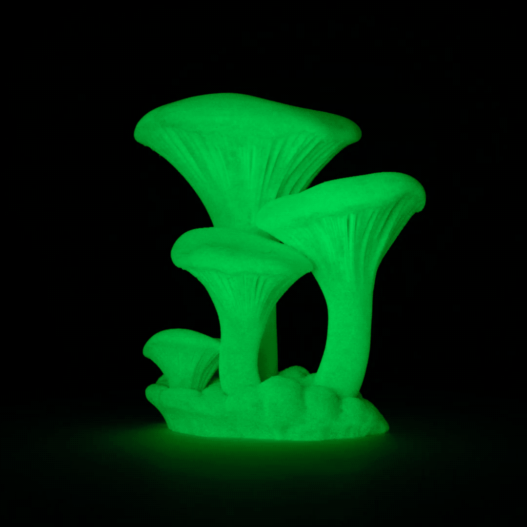 Glows in the Dark
