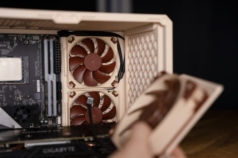 noctua